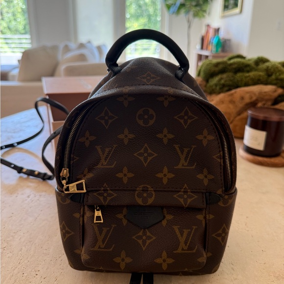Louis Vuitton Palm Springs Mini Backpack - Picture 1 of 6